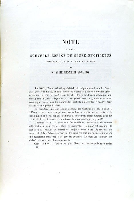 Note sur une nouvelle espèce du genre Nycticebus provenant de …