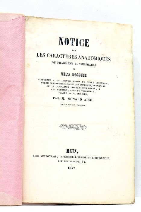 Notice sur les caractères anatomiques du fragment considérable de tête …