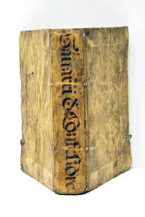 Noticias singularissimas que saco a la luz.