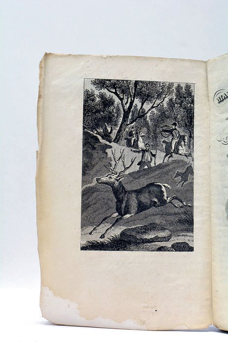 Nouveau Manuel du Chasseur. Contenant des instructions sur les armes, …