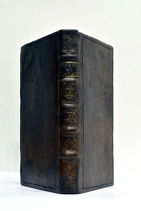 NOUVEAUX PORTRAITS et Caractères de la Famille Royalle, des Ministres …