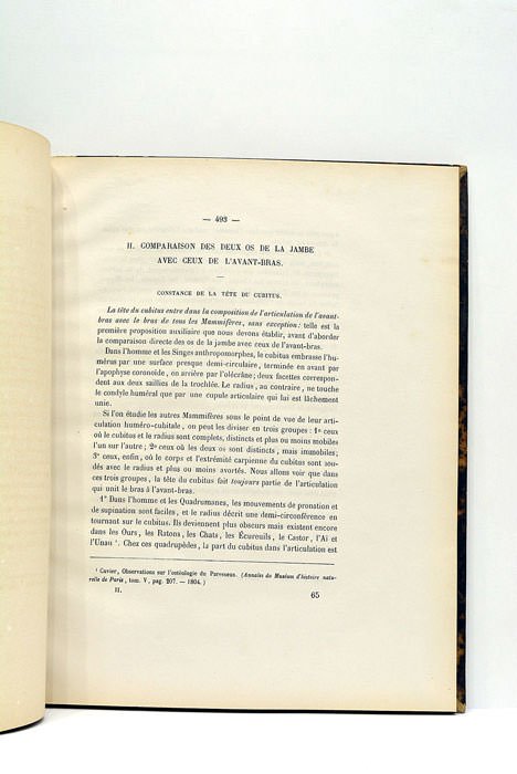 Nouvelle comparaison de membres pleviens et thoraciques. Chez l'homme et …