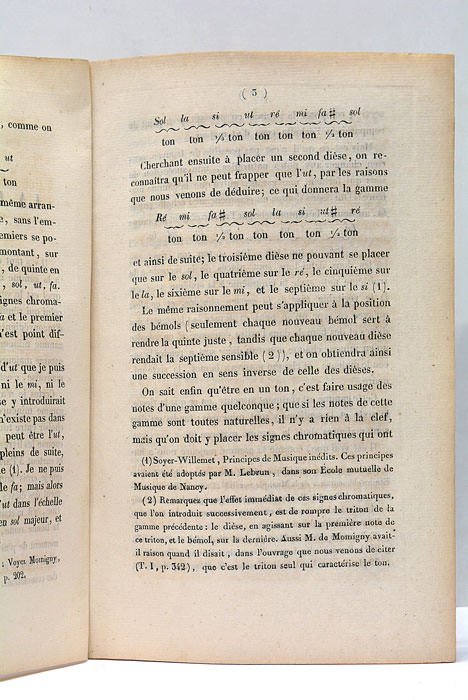 Observations sur la Gamme Mineure.