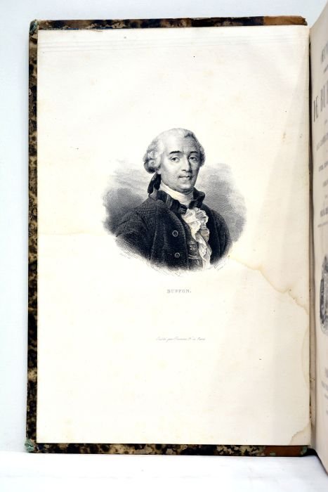 Oeuvres complètes, suivies de la classification comparée de Cuvier, Lesson, …