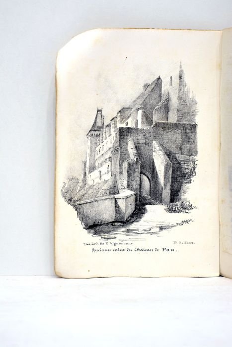 Panormama historique et descriptif de Pau et de ses environs. …