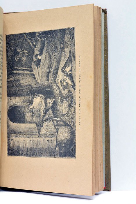 Petites Nouvelles. Ouvrage illustré de 9 gravures. Douzième édition.