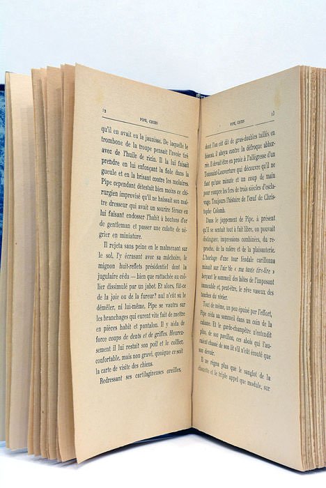 Pipe, chien. Le Reve franciscain Iles.