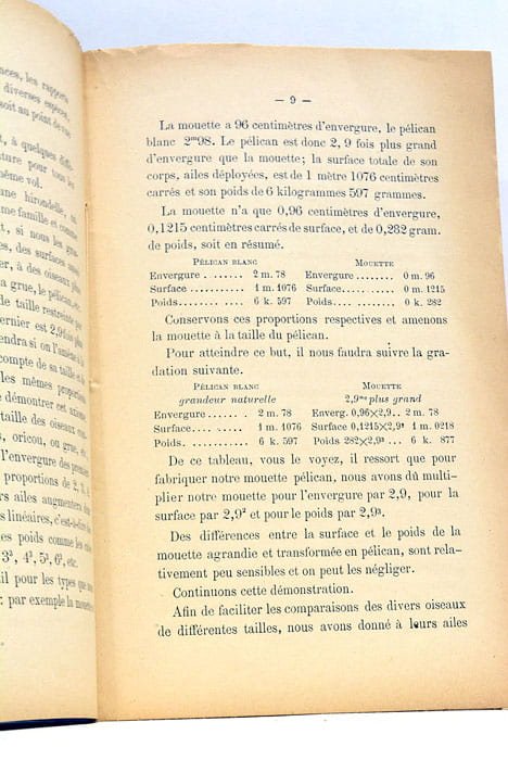 POMPEIEN-PIRAUD (J.C.). Les Ballons Dirigeables et l'Aviation.