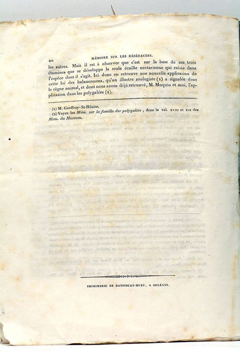Premier Mémoire sur la structure et les anomalies de la …