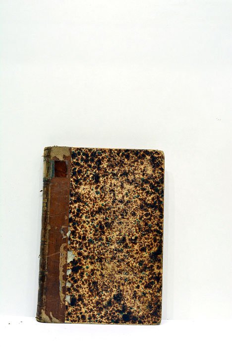 Princes, généraux et soldats allemands.