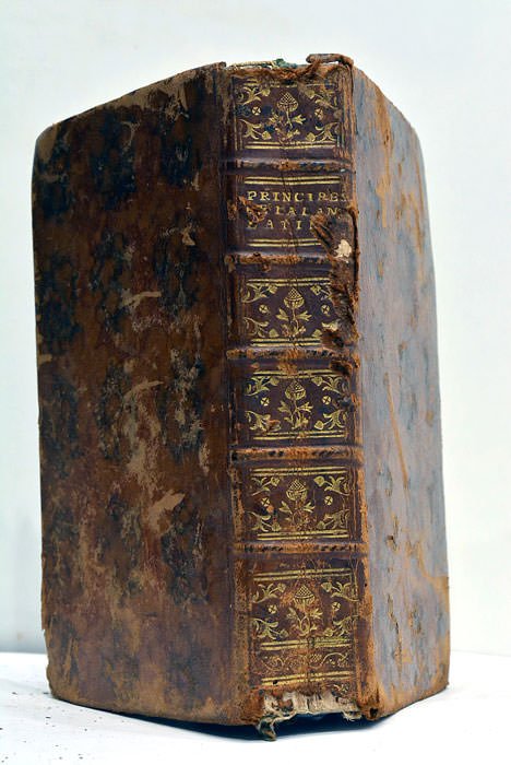 Principes de la langue latine, mis dans un ordre plus …