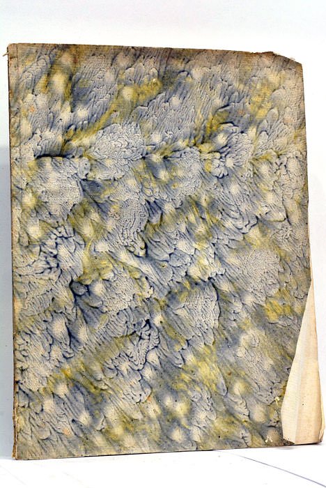 Prolusio Dissertationum De Utilitate Scientiae Physicae. In Rite et Ex …