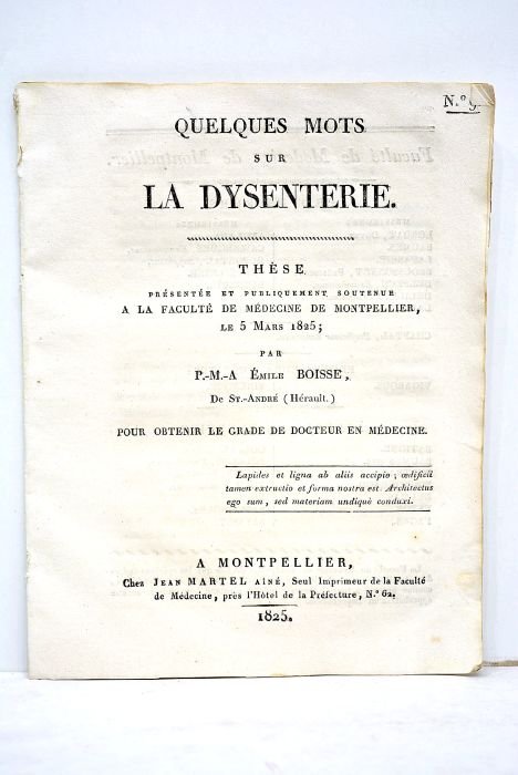 Quelques mots sur la dysenterie. Thèse présentée et publiquement soutenue …