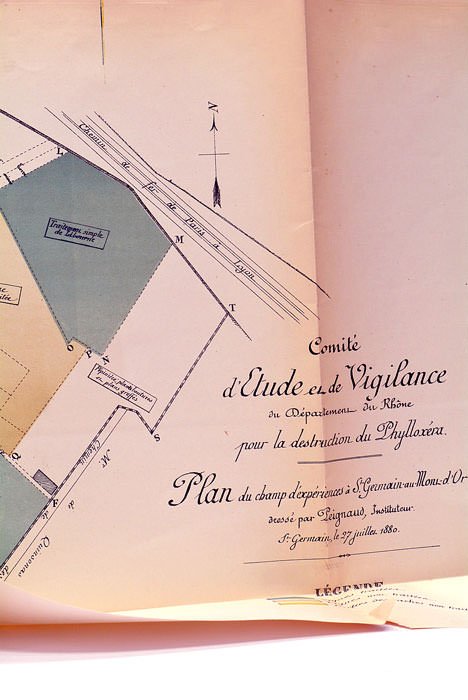 Rapport à M. le Ministre de l'Agriculture et du Commerce …