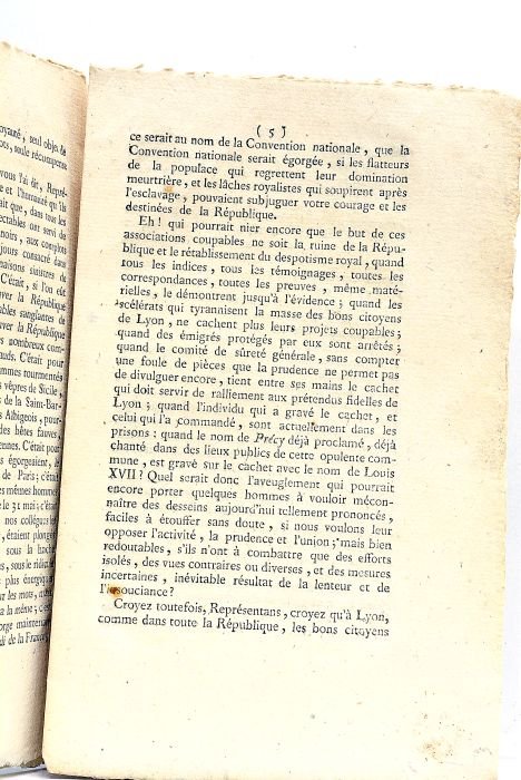 Rapport fait à la Convention Nationale, au nom des comités …