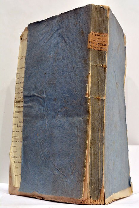 Recherches Anatomiques et Physiologiques sur la Structure intime des Animaux …