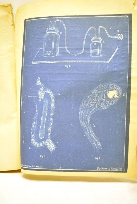 Recherches expérimentales sur la physiologie de la rate. Thèse presentée …