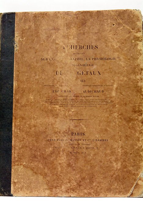 Recherches générales sur l'organographie, la physiologie et l'organogénie des végétaux. …