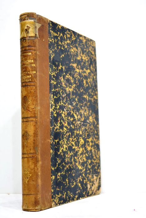 Recherches sur l'origine et la signification des noms de lieux …