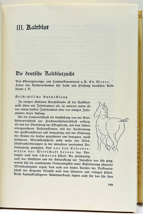 Reiter, Pferd und Fahrer. Ein Handbuch für den Bauern, Landwirt …