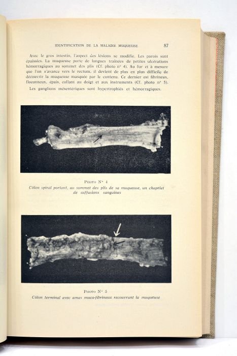 REVUE de médecine vétérinaire. Janvier 1961.