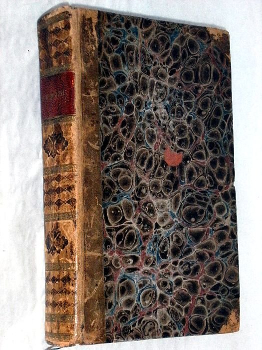 Revue Politique de l'Europe en 1825. Troisième édition. Paris et …