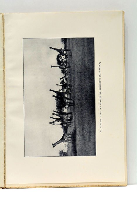 Safari. Récit de la brousse africaine. Traduction de Marcel Sémézies.