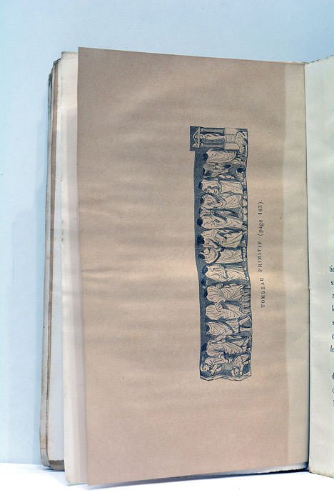 SAINTE MARTHE. HOTESSE DE JÉSUS-CHRIST. Sa vie, son apostolat en …