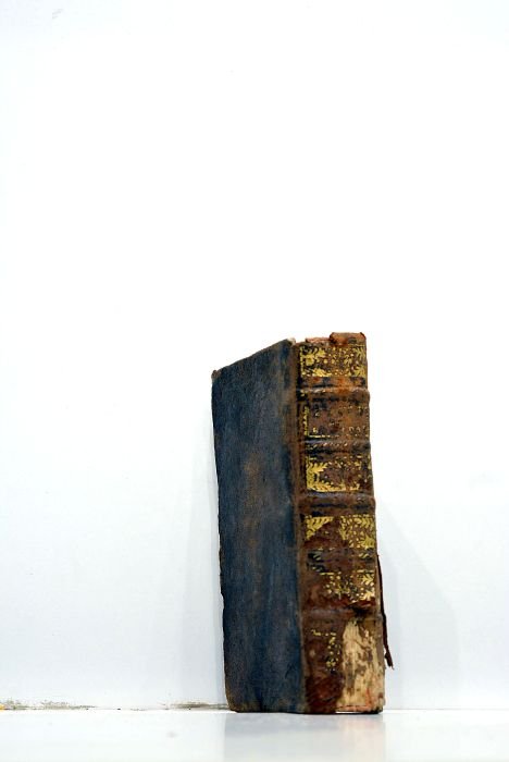 Sermons. Pour l'Avent. Septième édition.