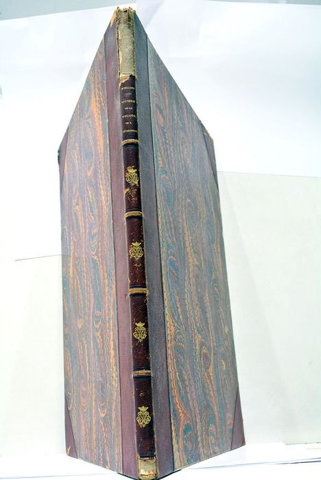 Souvenir de la Bibliothèque Impériale Publique de Saint-Petersbourg, contenant des …