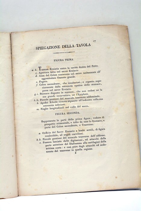 Sull'Ernia Diaframmatica Memoria.