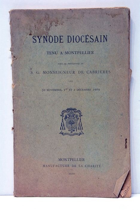 SYNODE DIOCÉSAIN tenu à Montpellier sous la présidence de S. …