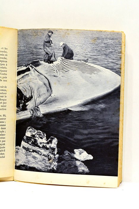 Terre Arctique. Avec l'expédition française au Groenland. Préface de Paul-Émile …