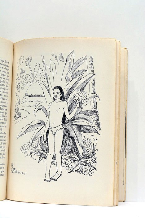 Thaiti et sa couronne. Tahiti, Moorea, les Polynésiens. Avec 20 …