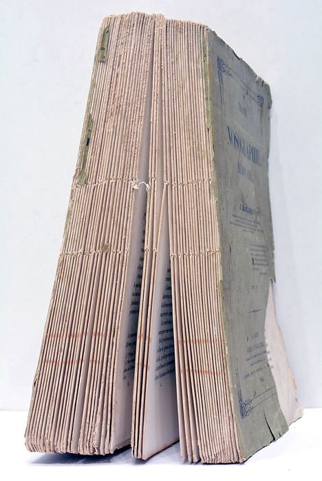 Traité de Nosographie Médicale.