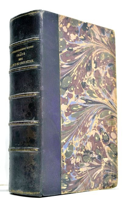 Traité des maladies du gros bétail. Quatrième édition. Avec 365 …