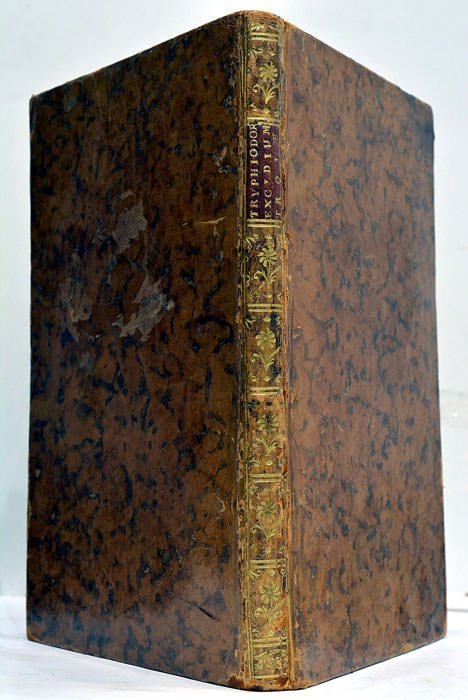 Tryphodori Aegyptii Grammatici Excidium Troiae Graece et Latine. Accedit interpretatio …