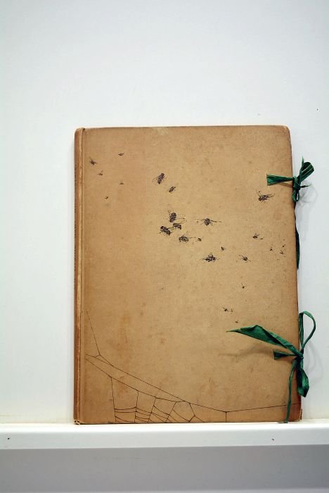 Un drame dans une carafe. Dessins par Louis Leloir.