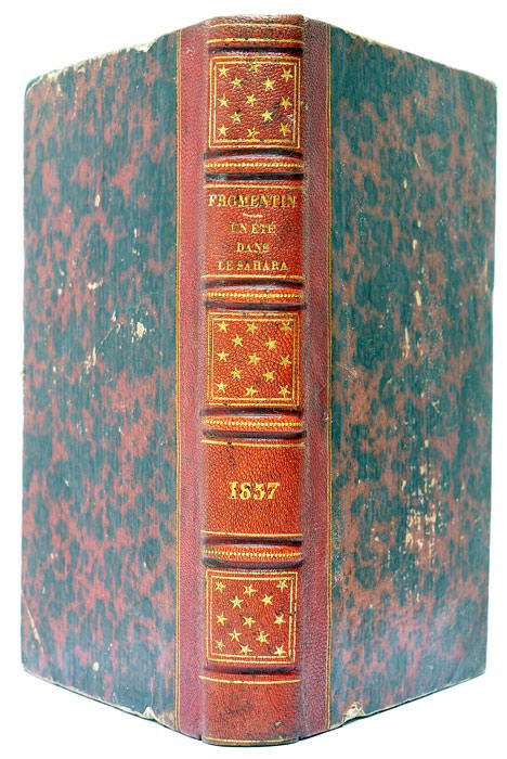 Un Eté dans le Sahara.