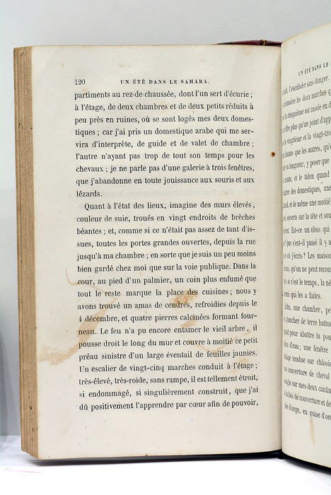 Un Eté dans le Sahara.