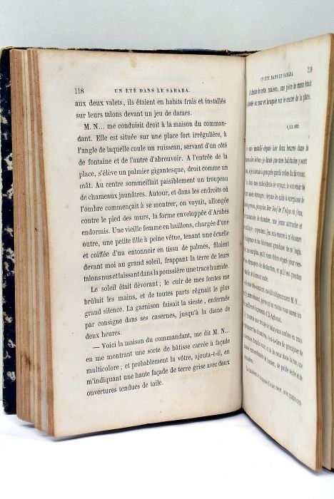 Un Eté dans le Sahara.