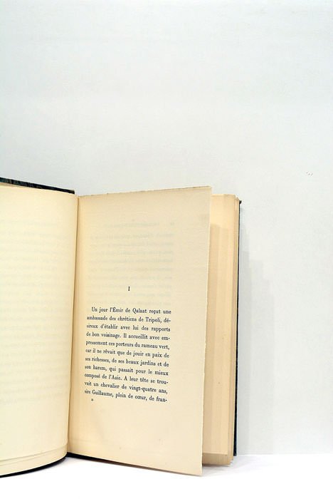 Un jardin sur l'Oronte.