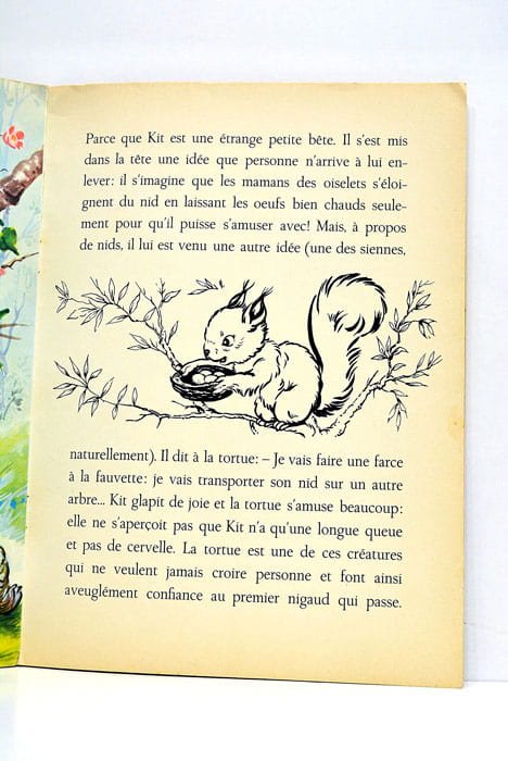 UN VILAIN petit écureuil.