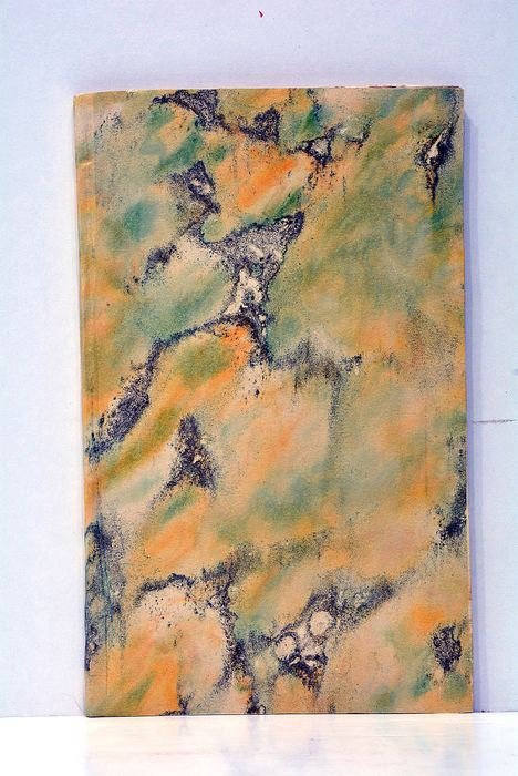 Une Étincelle de Raison, ou Opinion du C.(en) C**, sur le gouvernement révolutionnaire: Dédiée A la Convention Nationale et aux vrais Républicains