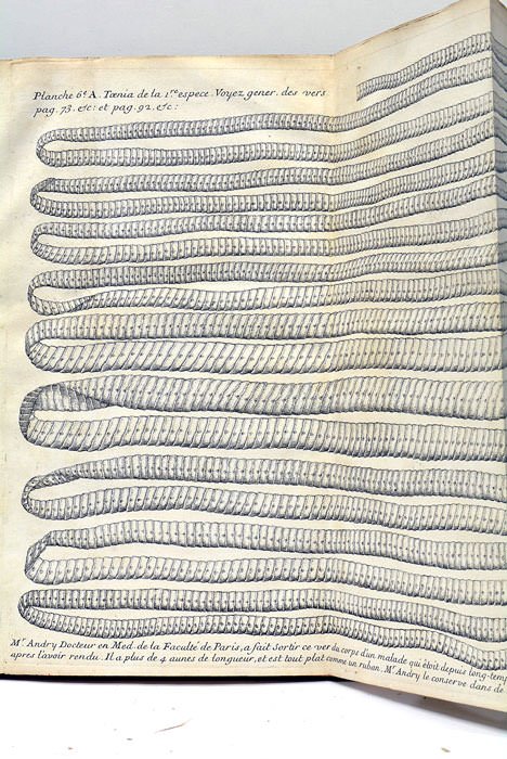 Vers solitaires et autres de diverses espèces dont il est …