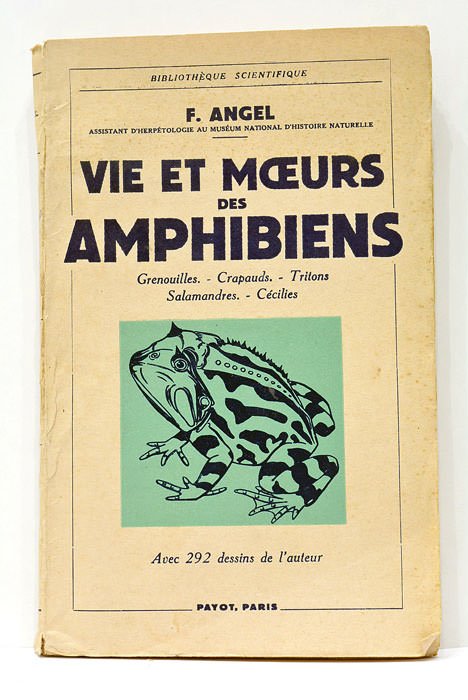 Vie et moeurs des Amphibiens. Classification et répartition - Tailles …