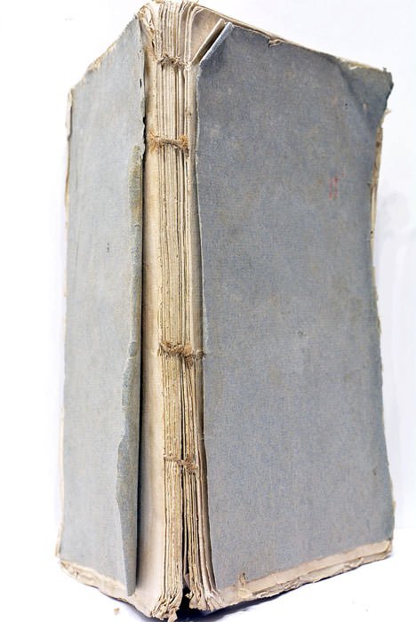 Vie Privée ou Apologie de Très-Sérénissime Prince Monseigneur le Duc …