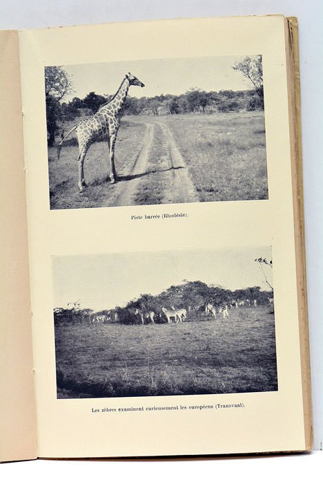 Vingt mille lieues dans les airs. Tour d'Europe, tour d'Afrique …