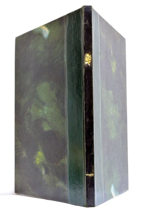 VIOLENTI Imperii imago a L. Annæo Seneca in persona Friderici …