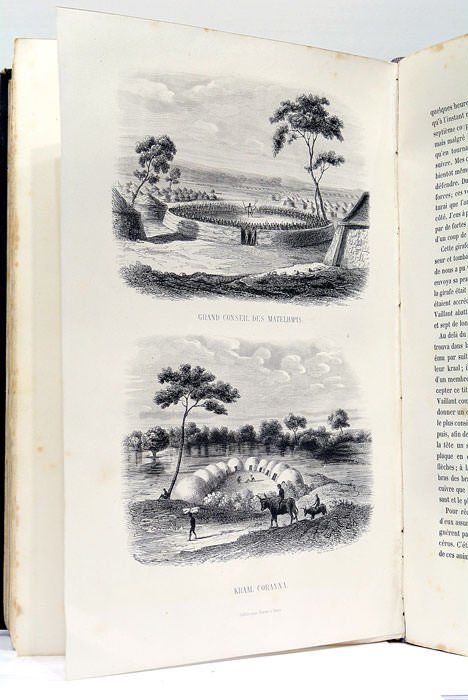 Voyage en Asie et en Afrique d'après les récits des …